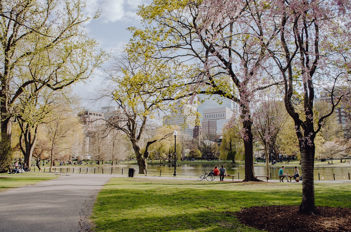 Sistema de Videoanalítica de la Plaza Inteligente con tecnología 5G de la Municipalidad de La Florida